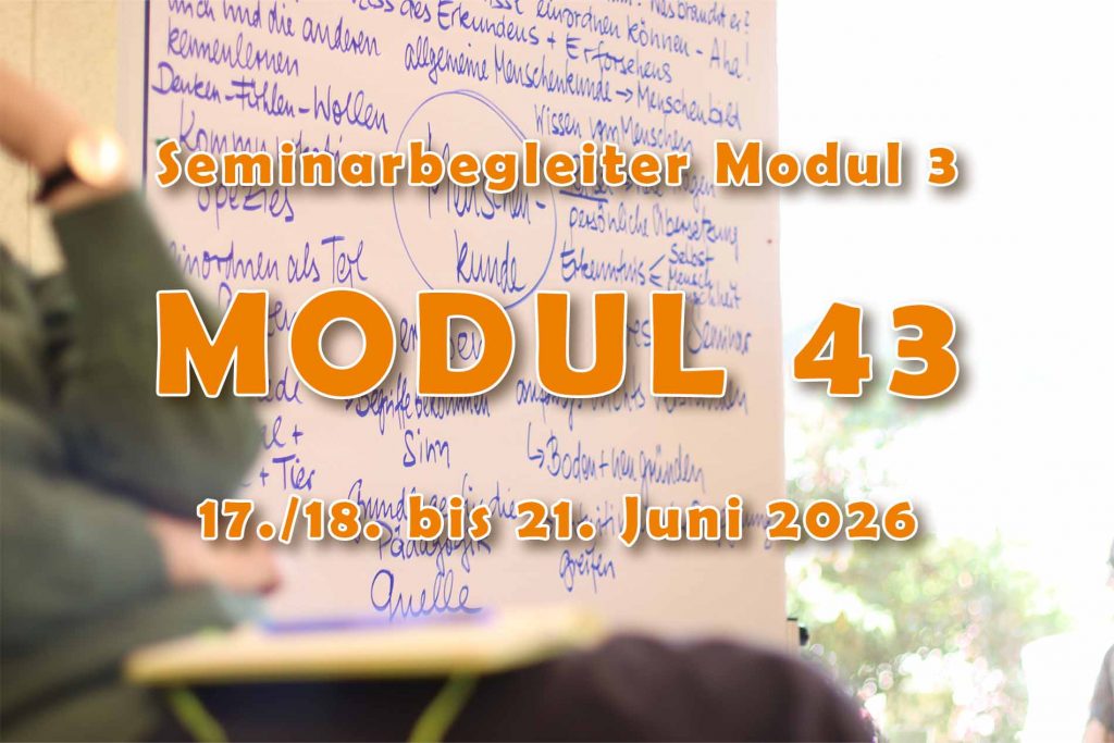 Modul 43 LiP-Süd - Seminarbegleiter Modul 3