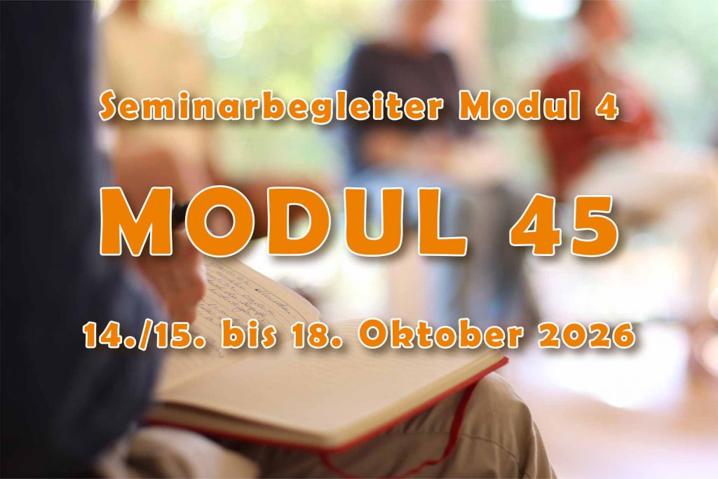Modul 45 LiP-Süd - Seminarbegleiter Modul 4