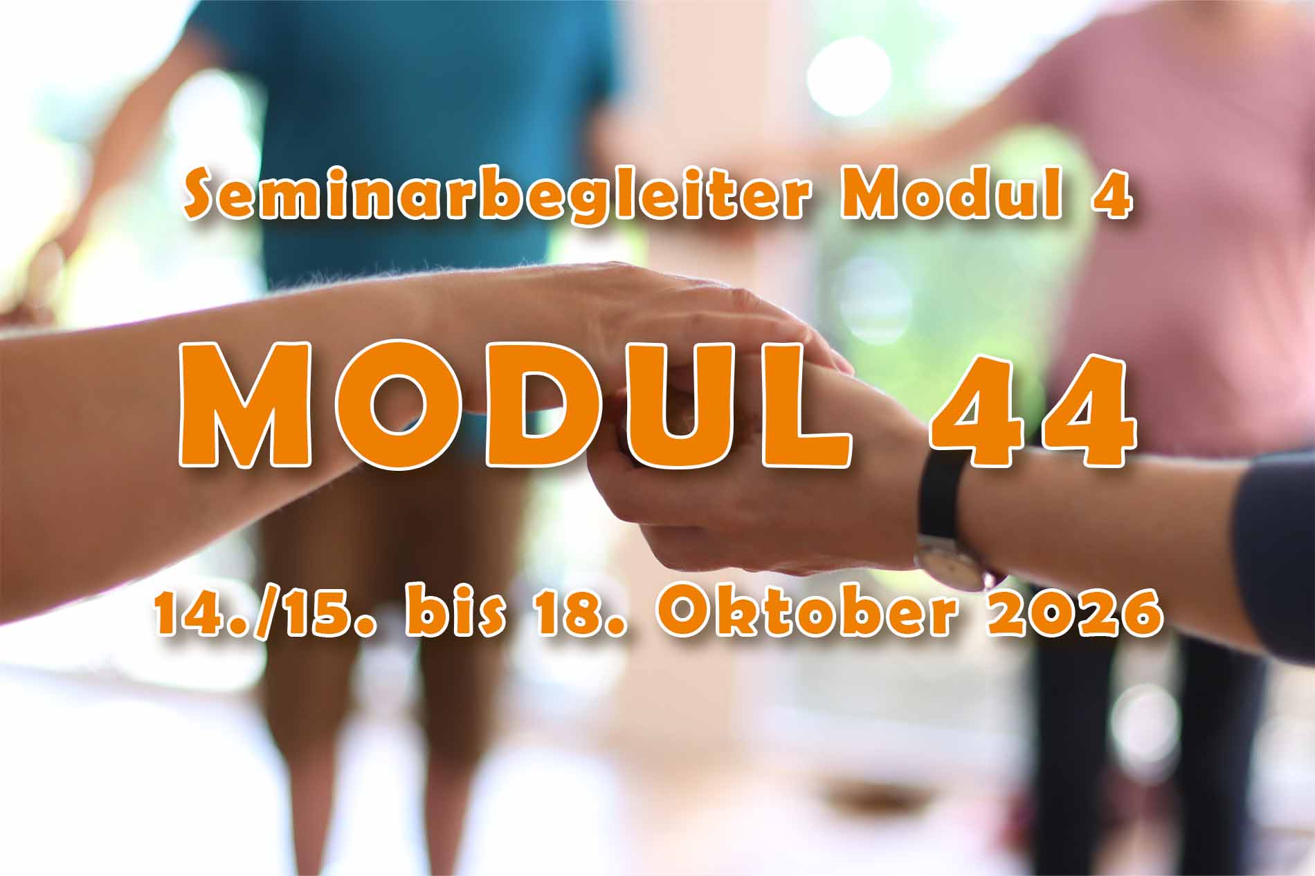 Modul 44 LiP-Süd - Seminarbegleiter Modul 4